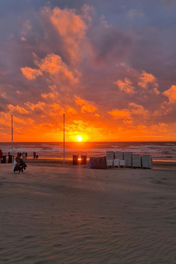 B&B Het Duinhuisje Met Jacuzzi, Gratis Parkeren, 2 Fietsen Te Leen, Airco Zandvoort Exterior foto